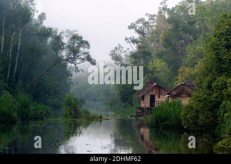 Regenwald und kleine Hütte am Sekonyer River (ein Nebenfluss zum Kumai River) in Kalimantan (Tanjung Puting National Park), im südlichen Borneo. Stockfoto