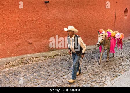 Ein alter Cowboy führt seinen verzierten Esel durch eine Kopfsteinpflasterstraße San in Miguel de Allende, Guanajuato, Mexiko. Dekorierte Burros werden in traditionellen mexikanischen Hochzeitsfeiern in der Stadt verwendet. Stockfoto