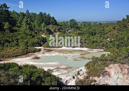 Pfanne flach von Lookout, Wai-O-Tapu Thermal Wonderland, Rotorua, Bucht von viel Region, Nordinsel, Neuseeland Stockfoto