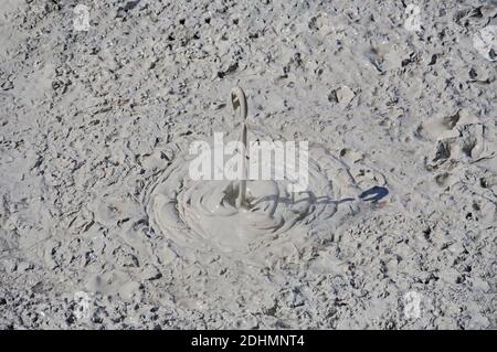 Heißen Schlammpfützen, Waiotapu, in der Nähe von Rotorua, Bucht von viel Region, Nordinsel, Neuseeland Stockfoto