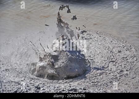 Heißen Schlammpfützen, Waiotapu, in der Nähe von Rotorua, Bucht von viel Region, Nordinsel, Neuseeland Stockfoto