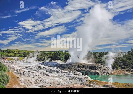 Ansicht von Pohutu Geysir von Lookout, Whakarewarewa lebenden Thermal Village, Rotorua, Bucht von viel Region, Neuseeland Stockfoto