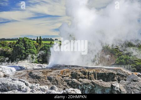 Ansicht von Pohutu Geysir von Lookout, Whakarewarewa lebenden Thermal Village, Rotorua, Bucht von viel Region, Neuseeland Stockfoto