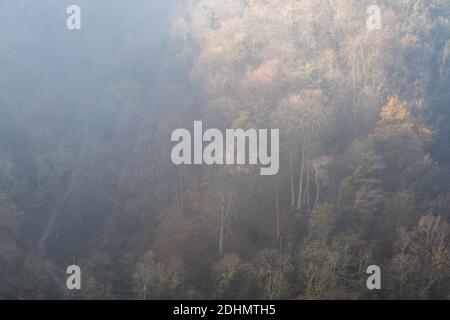 Die Sonne fängt Nebel auf, der von Bäumen in Leigh Woods aufgeht, wo Wanderer auf dem Nightingale Valley Path im Herbst in Bristol spazieren gehen. Stockfoto