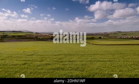 Grüne Felder, Wälder und kleine Städte füllen die Landschaft von Midlothian in der Nähe von Gorebridge, mit Arthur's Seat in der Ferne. Stockfoto