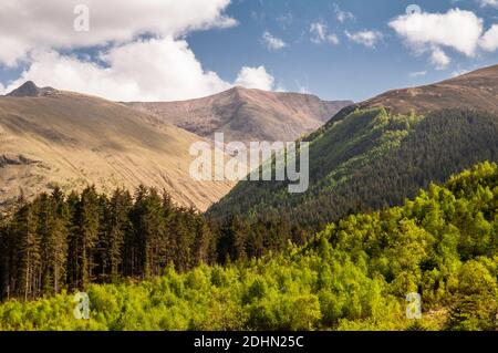 Die Mamores-Berge erheben sich über dem Glen Nevis Tal und der Nevis Forest Plantage in den West Highlands von Schottland. Stockfoto