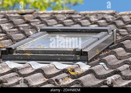 Ein graues Kunststoff-Kippfenster im Dach. Bedeckt mit Moos und Überwuchs aufgrund schlechter Wartung. Stockfoto