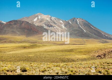 Vulkan Lascar erhebt sich über den coiron Grassebenen des altiplano bei Socaire, Anden, Chile Stockfoto