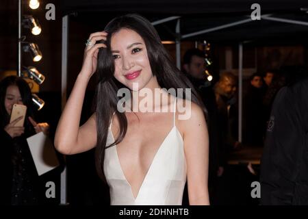 Gast bei der Valentino Haute-Couture Frühjahr-Sommer 2016 Show im Rahmen der Paris Fashion Week am 27. Januar 2016 in Paris, Frankreich. Foto von Audrey Poree/ABACAPRESS.COM Stockfoto