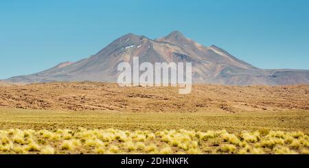 Vulkan Lascar erhebt sich über den coiron Grassebenen des altiplano bei Socaire, Anden, Chile Stockfoto