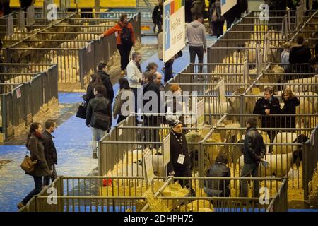 Atmosphäre bei der Eröffnung der 53. Internationalen Landwirtschaftsmesse Paris am 27. Februar 2016 an der Porte de Versailles in Paris, Frankreich. Foto von Audrey Poree/ABACAPRESS.COM Stockfoto