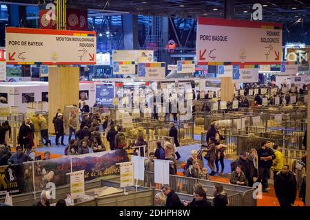 Atmosphäre bei der Eröffnung der 53. Internationalen Landwirtschaftsmesse Paris am 27. Februar 2016 an der Porte de Versailles in Paris, Frankreich. Foto von Audrey Poree/ABACAPRESS.COM Stockfoto