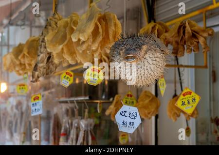 Stachelflossen-Stachelschweinfisch (Diodon hystrix) und andere getrocknete Fische zum Verkauf in Tai O Market Street, Tai O Fishing Village, Lantau Island, Hong Kong, China. Stockfoto