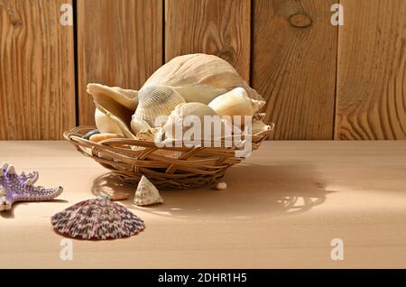 Sammlung von Meeresmuscheln auf einem Holztisch in einem Korbkorb. Sammlung von Meeresmollusken. Stockfoto