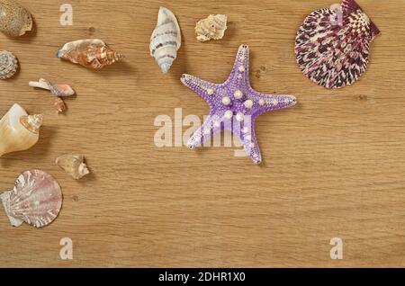 Seesterne und Muscheln auf einem Holztisch aus der Nähe. Muscheln auf einem alten Holztisch mit Platz für Text. Stockfoto