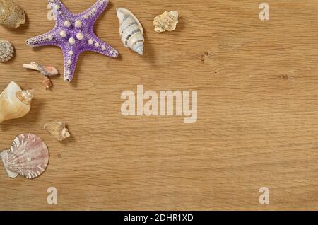 Weichtiere auf Holztisch aus der Nähe. Muscheln auf einem alten Holztisch mit Platz für Text. Stockfoto