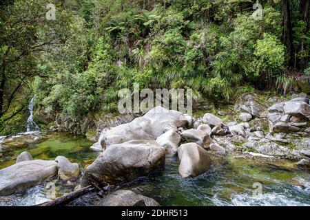 Wainui Wasserfall, Golden Bay, Nelson, Tasman, Neuseeland, Samstag, 21. November 2020. Stockfoto