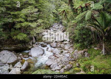 Wainui Wasserfall, Golden Bay, Nelson, Tasman, Neuseeland, Samstag, 21. November 2020. Stockfoto