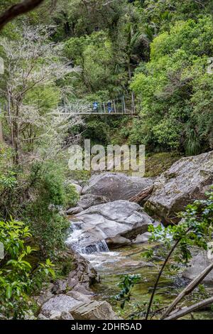 Wainui Wasserfall, Golden Bay, Nelson, Tasman, Neuseeland, Samstag, 21. November 2020. Stockfoto