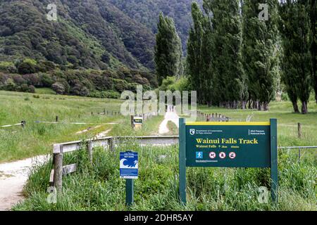 Wainui Wasserfall Track, Golden Bay, Nelson, Tasman, Neuseeland, Samstag, 21. November 2020. Stockfoto