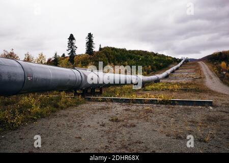 Draufsicht auf die Trans-Alaska-Ölpipeline, wobei die Muster im Metall hervorgehoben werden. Stockfoto