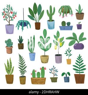 Großer Satz von Vektor-Haus Pflanzen, isoliert auf weißem Hintergrund. Garten im Haus. Stock Vektor