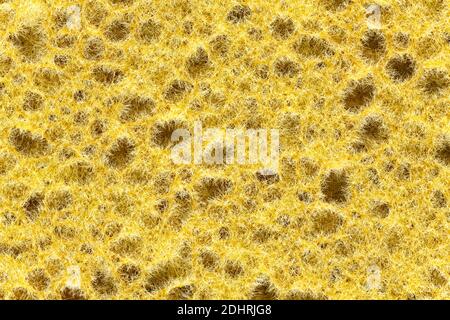 Eine bunte Schwamm Textur, orange Schwamm Hintergrund. Stockfoto