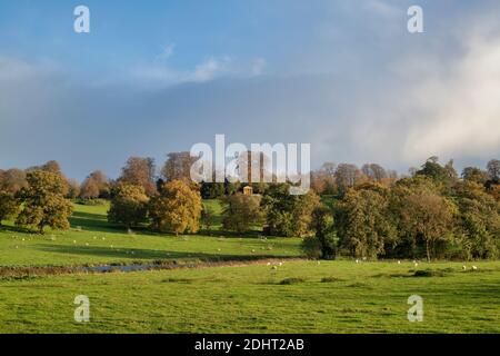 Farnborough Hall Gelände im Herbst von der Straße aus gesehen. Warwickshire, England Stockfoto