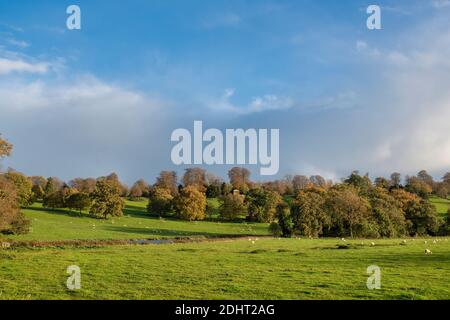 Farnborough Hall Gelände im Herbst von der Straße aus gesehen. Warwickshire, England Stockfoto