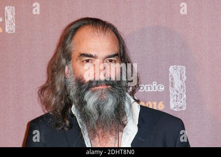 WARREN ELLIS MEILLEURE MUSIQUE ORIGINALE POUR 'MUSTANG' - 41EME CEREMONIE DES CESAR 2016 AU THEATER DU CHATELET Foto von Nasser Berzane/ABACAPRESS.COM Stockfoto