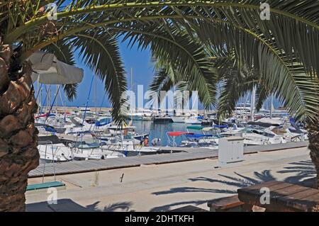 LATCHI, POLIS, PAPHOS, ZYPERN. APRIL 2016. Die Marina und der Hafen im kleinen Dorf Latchi in den Akamas an der Westküste von Südzypern. A Stockfoto