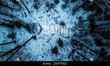 Luftaufnahme der Winterwaldlandschaft Stockfoto