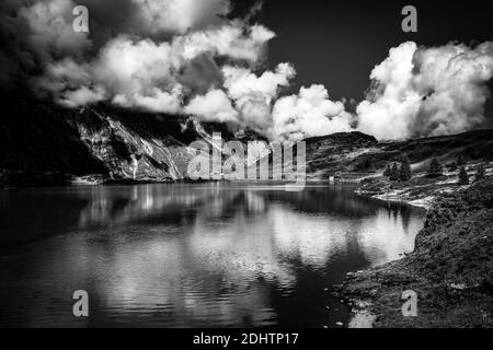 Typische Schweizer Landschaft am Tuebsee in der Schweiz in schwarz Und weiß Stockfoto