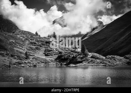 Typische Schweizer Landschaft am Tuebsee in der Schweiz in schwarz Und weiß Stockfoto