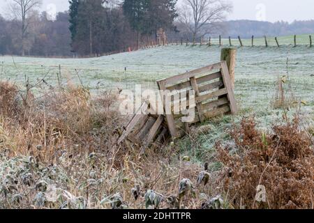 Wanderung in der Region Osnabrück bei Melle-Neuenkirchen auf dem Terra.Track Königsbrück. Es ist ein kalter Herbsttag mit Reif auf den Wiesen und Feldern. Stockfoto