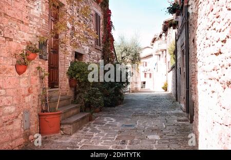 Eine Gasse eines mittelalterlichen italienischen Dorfes mit Steinhäusern und Töpfen mit Pflanzen und Blumen (Gubbio, Italien, Europa) Stockfoto