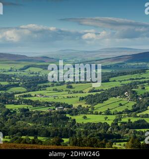 Landschaftlich reizvolle Aussicht auf Wharfedale (breites grünes Tal, sanfte Hügel, hohe Hochlandfells, Sonnenlicht an Land, blauer Himmel) - West Yorkshire, England, Großbritannien. Stockfoto