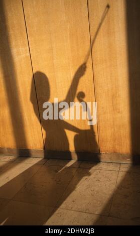 Silhouette eines Mädchens mit Cello auf einer Holzfläche. Stockfoto