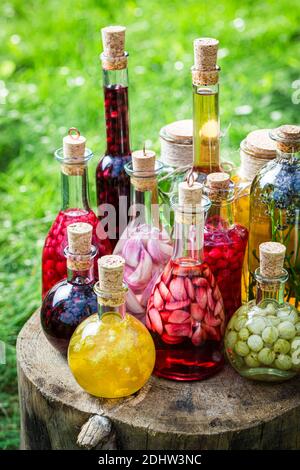 Viele kleine Flaschen gesunde Fruchttinkturen im Sommer Garten Stockfoto