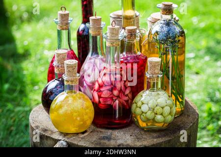 Verschiedene gesunde Tinkturen in kleinen Flaschen aus Obst in Sommergarten Stockfoto