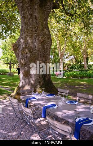 Das Grande Provence Heritage Wine Estate befindet sich in Franschhoek in Südafrika. Ein Hotel und ein Restaurant sind an das Weingut angeschlossen Stockfoto