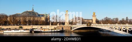 Panorama über Pont Alexandre III, Petit Palais und Grand Palais in Paris Stockfoto