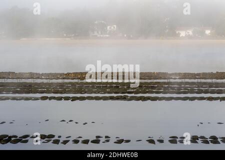 Nebel auf dem Hossegor See Stockfoto