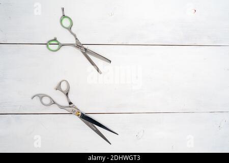 Flach mit silberner Friseurschere legen. Friseurschere auf weißem Holzhintergrund und Kopierraum. Stockfoto