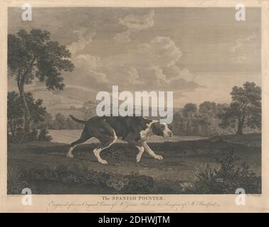 Shooting the Spanish Pointer, William Woollett, 1735–1785, britisch, nach George Stubbs, 1724–1806, britisch, 1768, Gravieren, Blatt: 17 1/2 x 22 1/4in. (44.5 x 56,5 cm Stockfoto