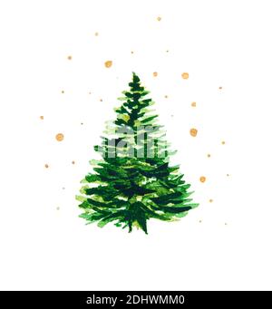 Grüner Weihnachtsbaum auf weißem Hintergrund mit goldenen Sternen. Aquarellzeichnung. Stockfoto