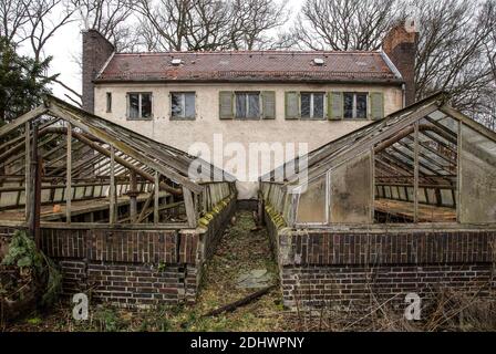 Harzgerode, ehemalige Kinder-Lungenheilstätte 1929-1931 von Godehard Schwethelm, 1998 geschlossen, Gärtnerei mit angebauten Gewächshäusern Stockfoto