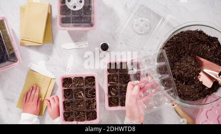 Flach liegend. Kleines Mädchen hilft Pflanzen Samen in Saatgutvermehrer mit Boden. Stockfoto