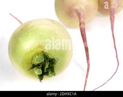 Rüben, Brassica Rapa, Gemüse vor weißem Hintergrund Stockfoto