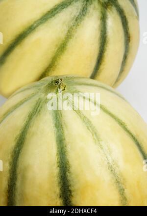 Cavaillon-Melone, Cucumis Melo, Obst auf weißem Hintergrund Stockfoto